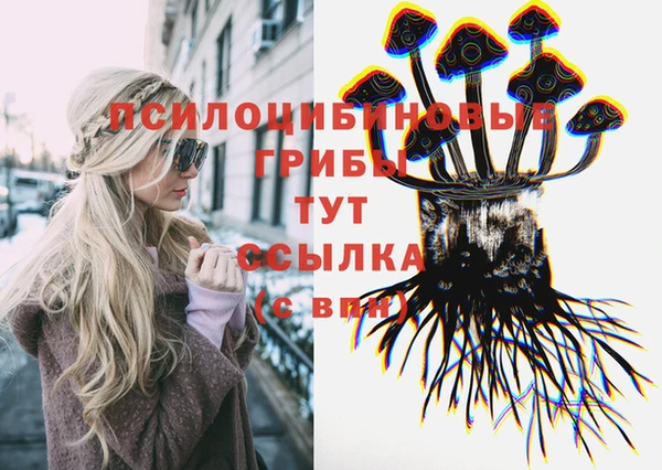 тгк Алексеевка